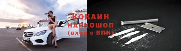 мяу мяу мука Михайлов