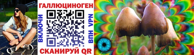 Псилоцибиновые грибы Psilocybe ссылка на мегу ТОР Липецк