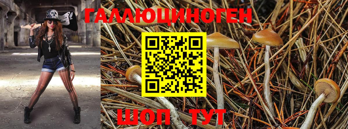 Липецк  Псилоцибиновые грибы ЛСД  Псилоцибиновые грибы Magic Shrooms  Вход с VPN 